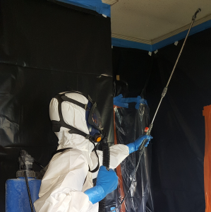 asbestos removal